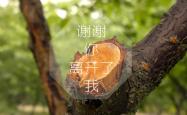 kaiyun开云体育 -颠覆传统还是推动进化？Doinb新规引爆电竞圈「规则革命」