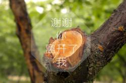 kaiyun开云体育 -颠覆传统还是推动进化？Doinb新规引爆电竞圈「规则革命」