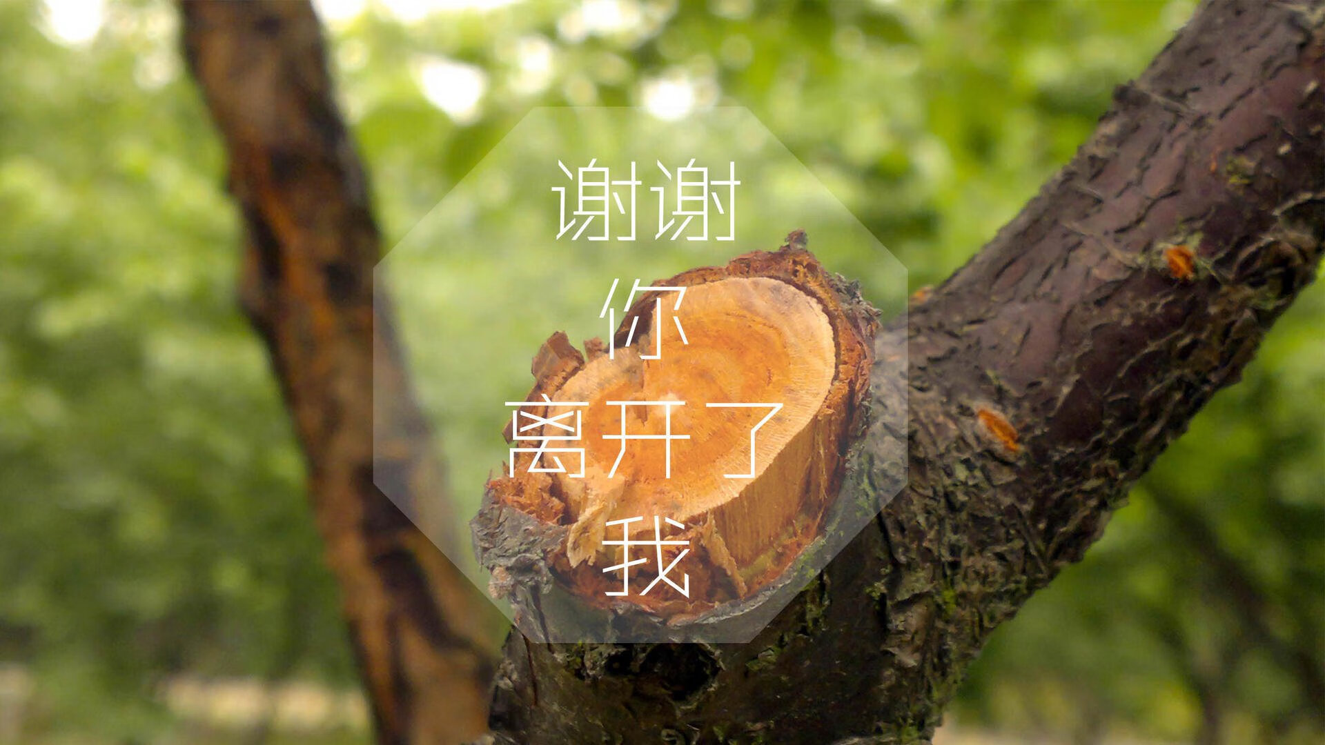 颠覆传统还是推动进化？Doinb新规引爆电竞圈「规则革命」